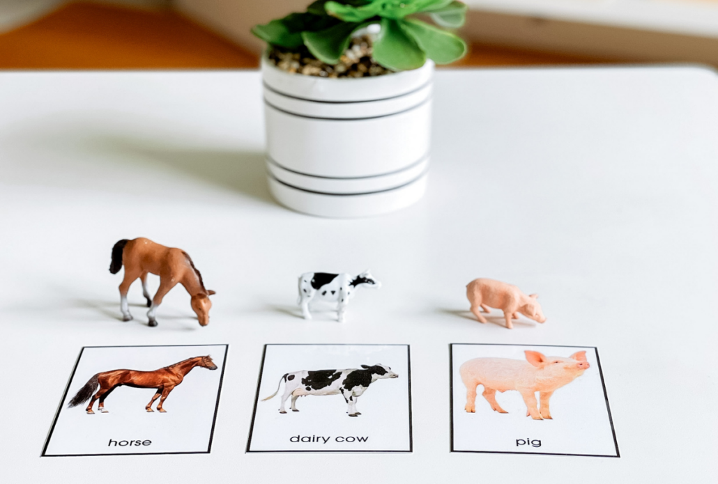 object-to-picture-matching-inspired-montessori-learning