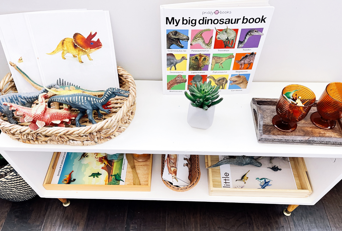 Montessori Monday - Montessori-Inspired Dinosaur Activities Using